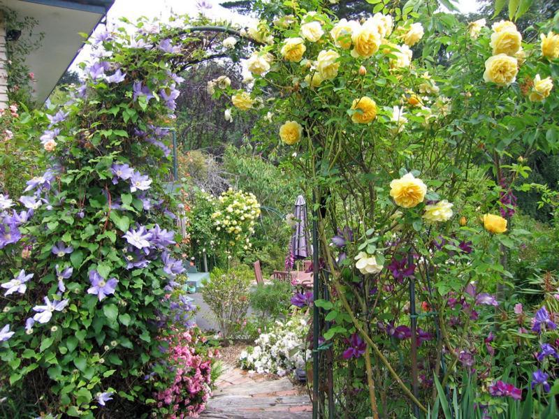 Mcauley Glen Boutique B&B Portobello Exterior foto